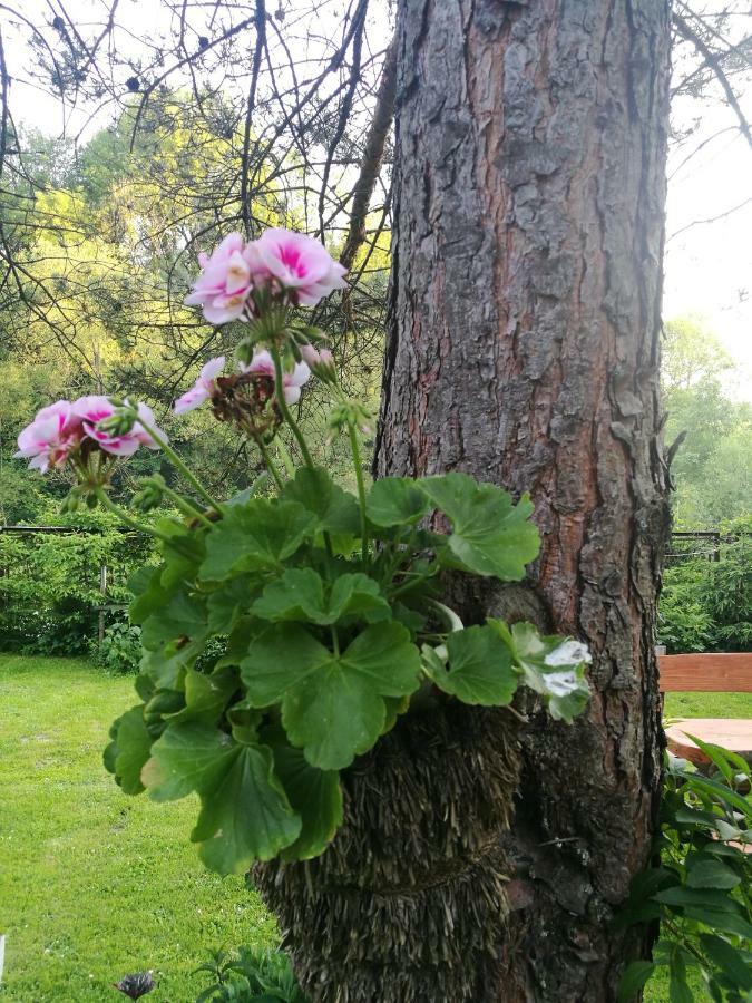 Villa Bieszczadzki Zakatek :-) Skorodne Esterno foto